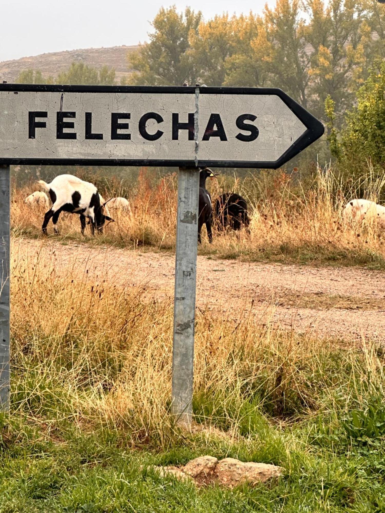 Los Tres Hórreos Felechas Exterior foto